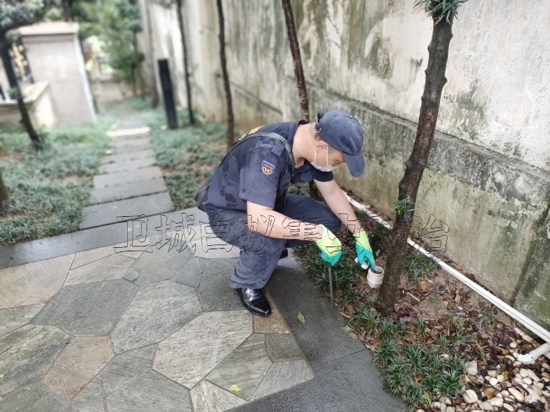 花都区赤坭白蚁防治中心丨广州花都赤坭灭白蚁就选卫城公司